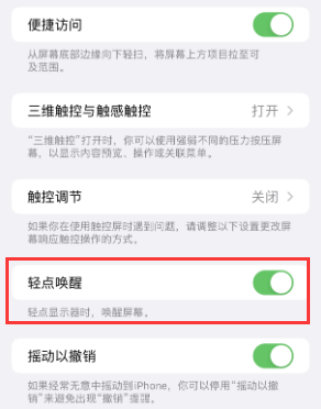 吴桥苹果授权维修站分享iPhone轻点无法唤醒怎么办 