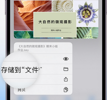 吴桥apple维修中心分享iPhone文件应用中存储和找到下载文件