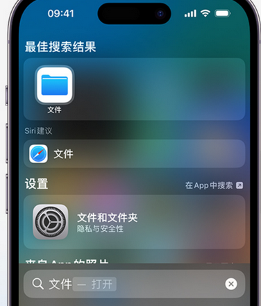 吴桥apple维修中心分享iPhone文件应用中存储和找到下载文件 