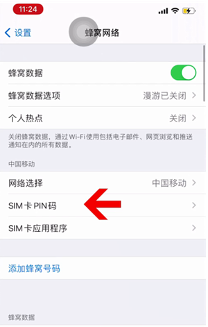 吴桥苹果14维修网分享如何给iPhone14的SIM卡设置密码 