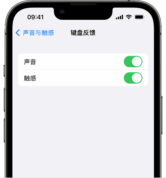 吴桥苹果14维修店分享如何在 iPhone 14 机型中使用触感键盘 