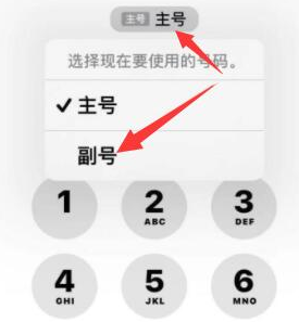 吴桥苹果14维修店分享iPhone 14 Pro Max使用副卡打电话的方法 