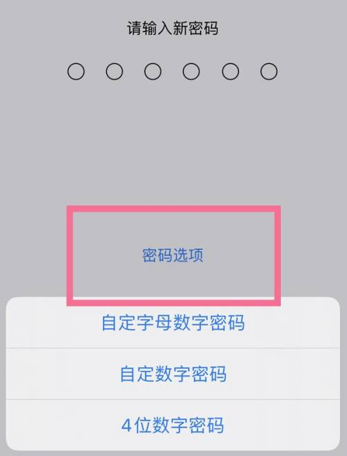 吴桥苹果14维修分享iPhone 14plus设置密码的方法 