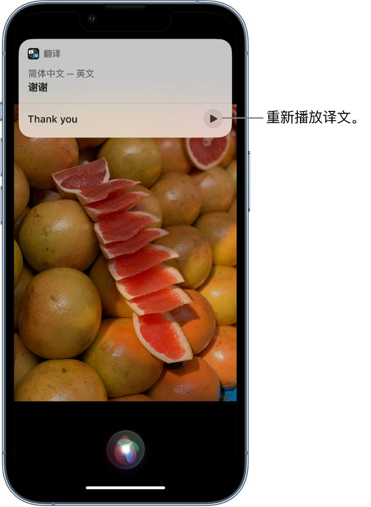 吴桥苹果14维修分享 iPhone 14 机型中使用 Siri：了解 Siri 能帮你做什么 