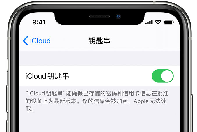 吴桥苹果手机维修分享在 iPhone 上开启 iCloud 钥匙串之后会储存哪些信息 