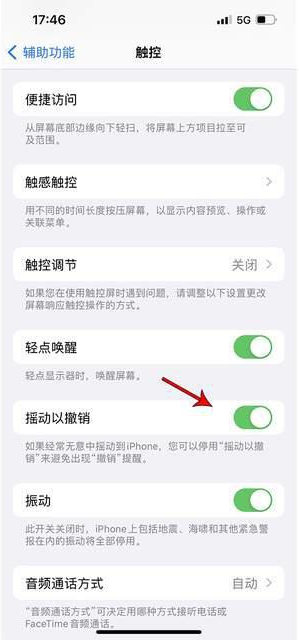 吴桥苹果手机维修分享iPhone手机如何设置摇一摇删除文字 