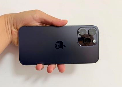 吴桥苹果维修点分享iPhone 14 Pro Max黑屏少见故障盘点 